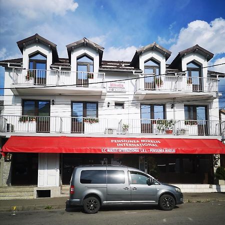 Pensiunea Mikelis International Hotel Curtea De Arges Bagian luar foto
