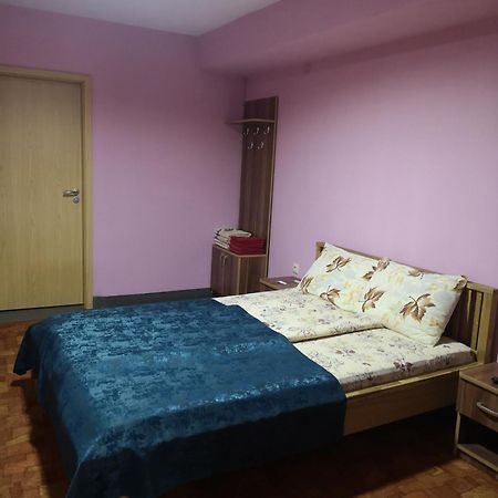 Pensiunea Mikelis International Hotel Curtea De Arges Bagian luar foto