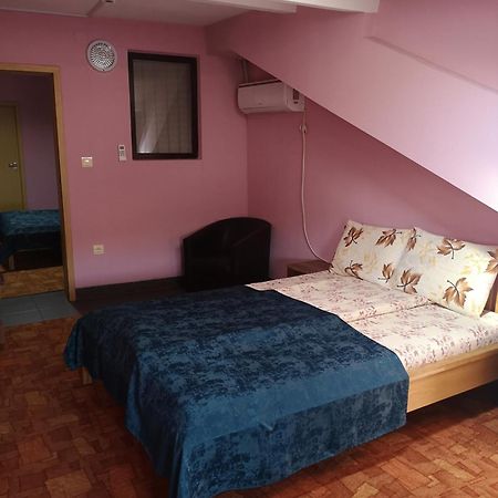 Pensiunea Mikelis International Hotel Curtea De Arges Bagian luar foto