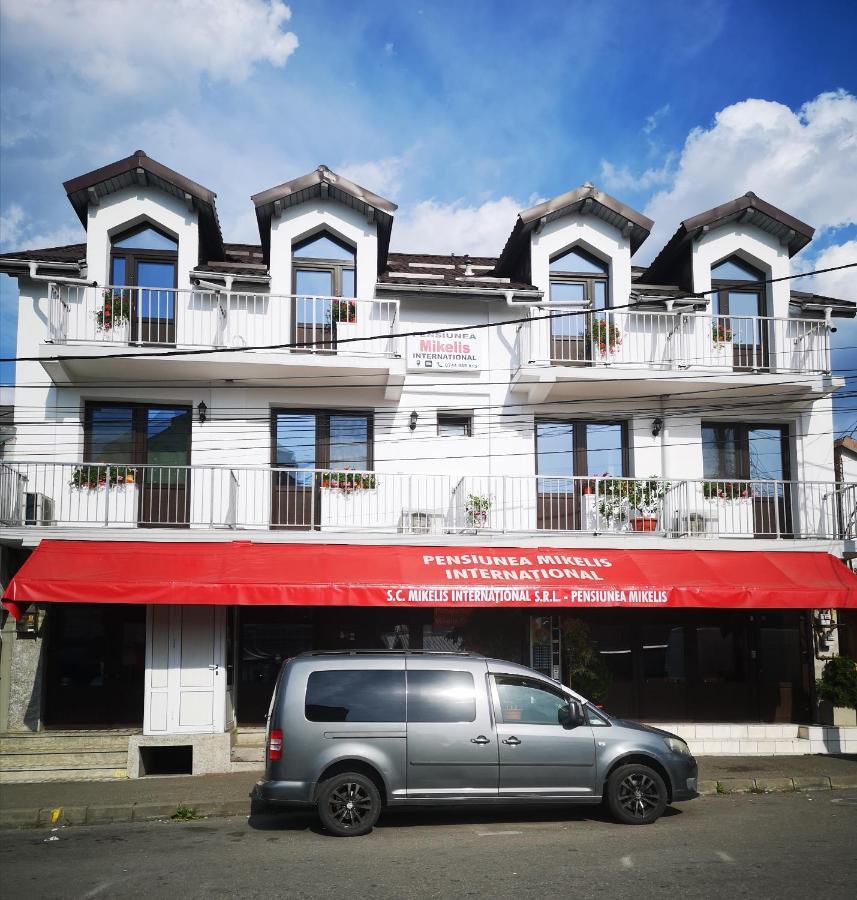 Pensiunea Mikelis International Hotel Curtea De Arges Bagian luar foto