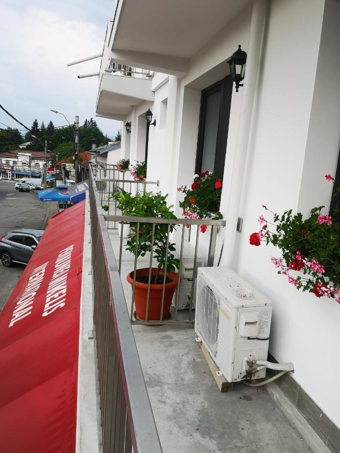 Pensiunea Mikelis International Hotel Curtea De Arges Bagian luar foto