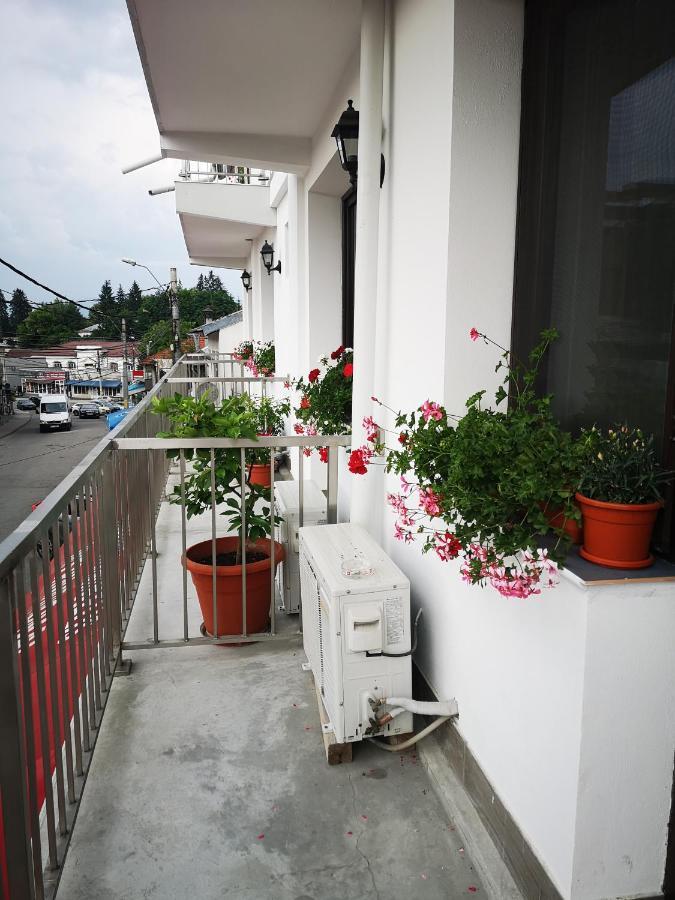 Pensiunea Mikelis International Hotel Curtea De Arges Bagian luar foto