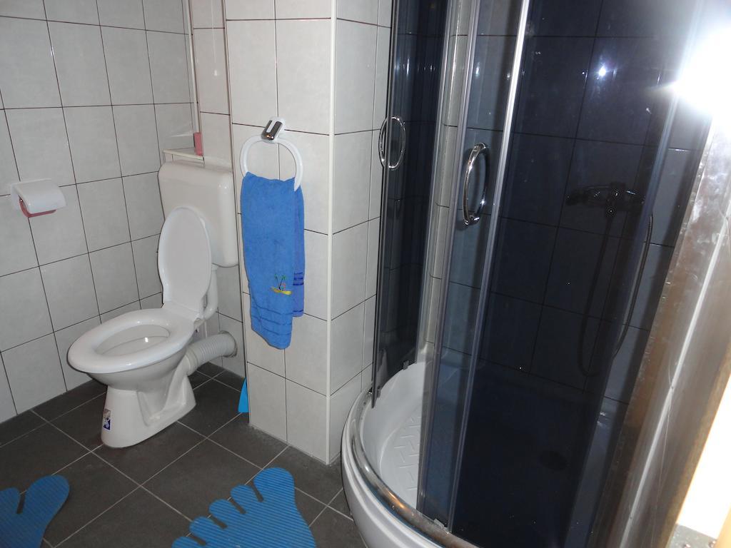 Pensiunea Mikelis International Hotel Curtea De Arges Bagian luar foto