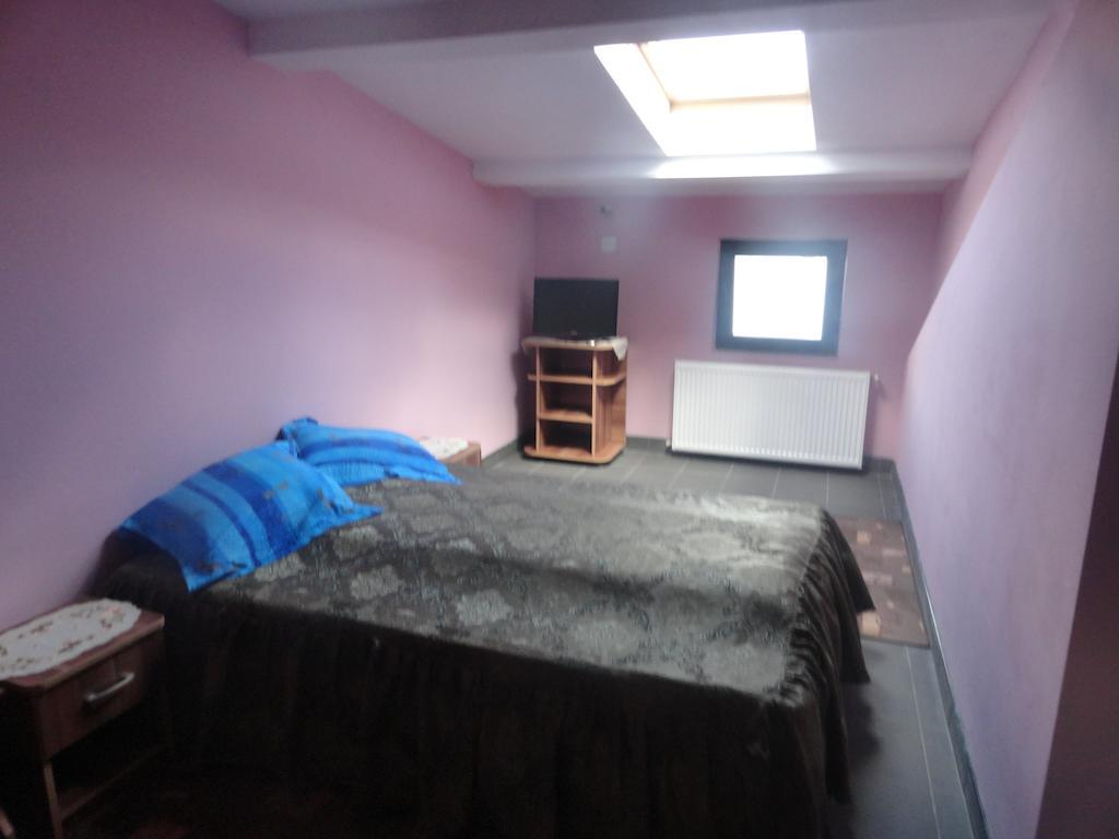 Pensiunea Mikelis International Hotel Curtea De Arges Ruang foto